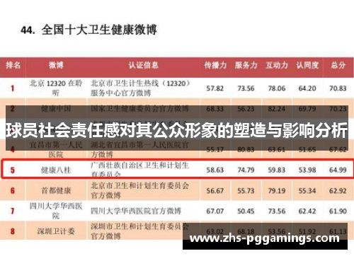 球员社会责任感对其公众形象的塑造与影响分析