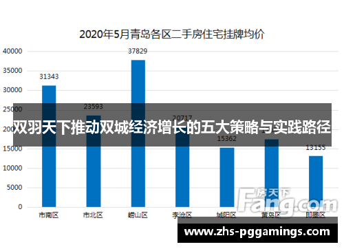 双羽天下推动双城经济增长的五大策略与实践路径
