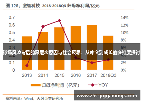 球场风波背后的深层次原因与社会反思：从冲突到成长的多维度探讨