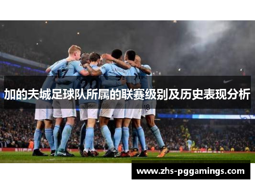 加的夫城足球队所属的联赛级别及历史表现分析