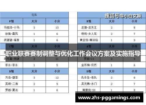 职业联赛赛制调整与优化工作会议方案及实施指导