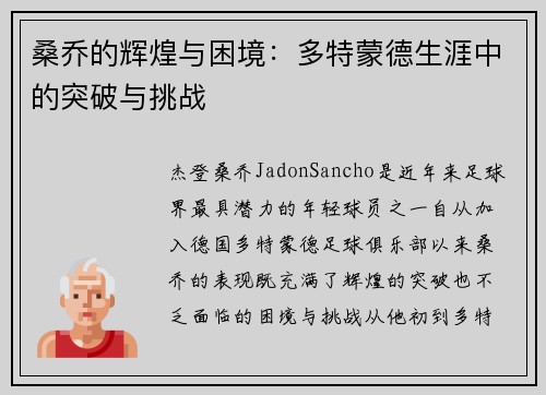 桑乔的辉煌与困境：多特蒙德生涯中的突破与挑战